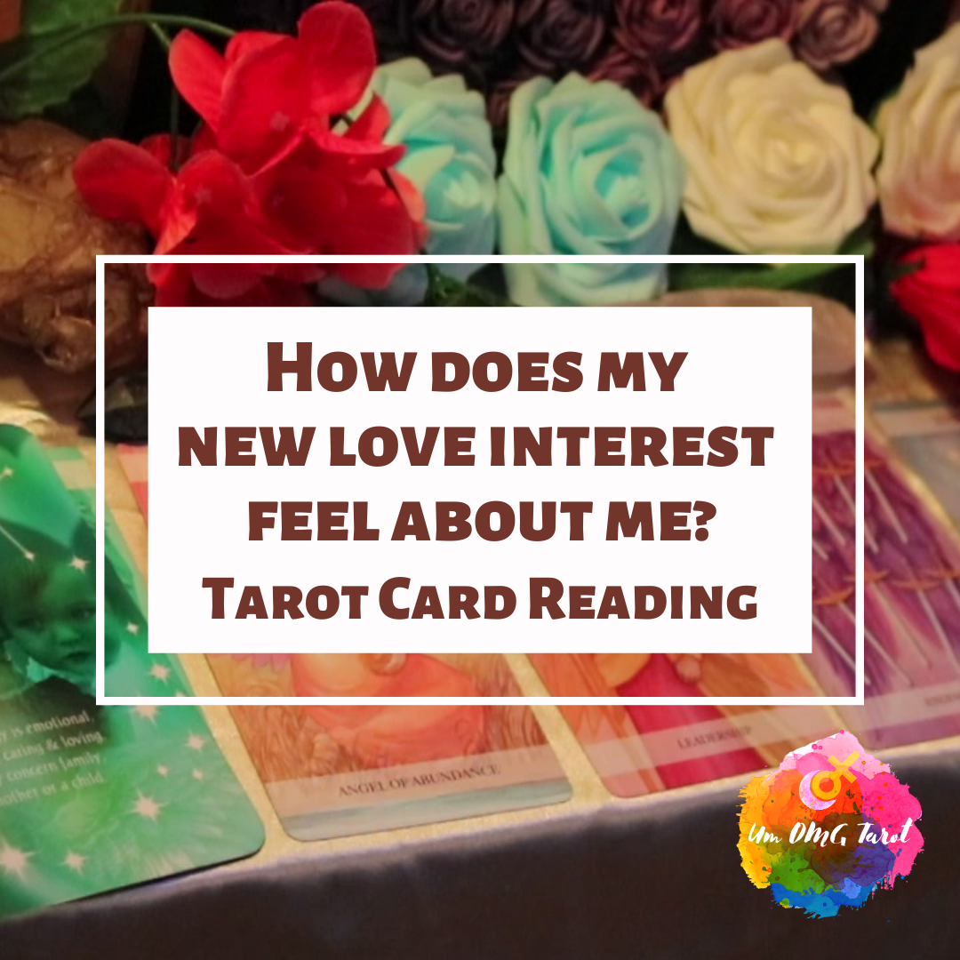 How does my new love interest feel about me? Tarot Reading